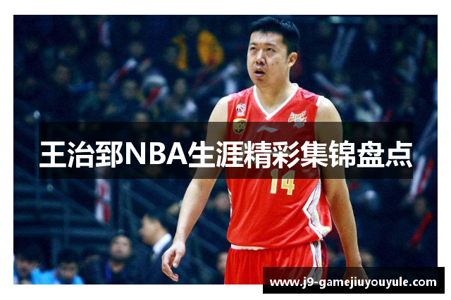 王治郅NBA生涯精彩集锦盘点